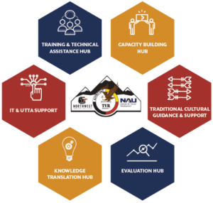 The AIVRTTAC + TVR hub and support component icon consists of 6 components in hexagons: training and technical assistance hub, capacity building hub, knowledge translation hub, evaluation hub, I T and U T T A support component, and traditional cultural guidance and support component.